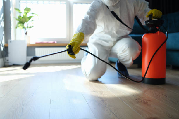 Reliable Odor Removal contractor in College Park, GA by Trauma Clean Pros